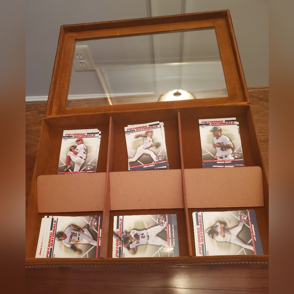 VINYL CASE (BROWN)